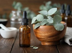 Top 20 Uses and Benefits of Eucalyptus Oil