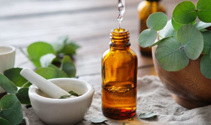 Eucalyptus Oil