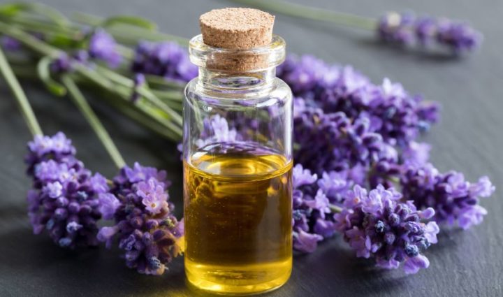 Lavender Oil