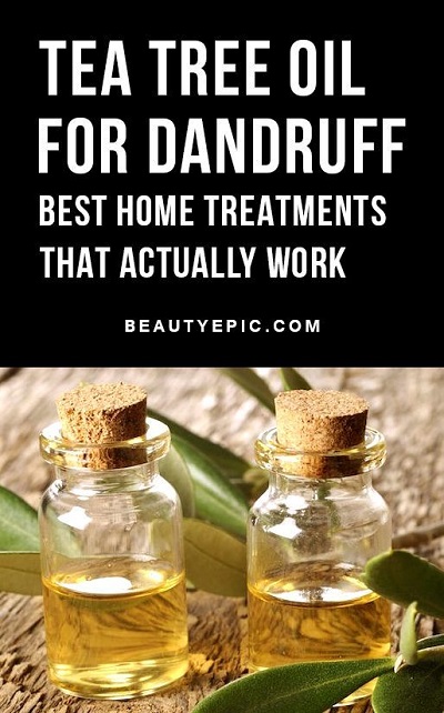 Tea Tree Oil For Dandruff: Uses And Benefits