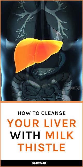 Does Milk Thistle Help Your Liver