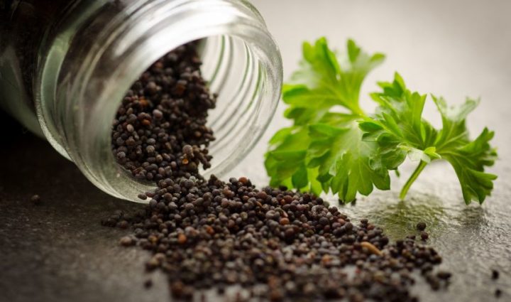 Black Cohosh and Agnus Castus for Menopause