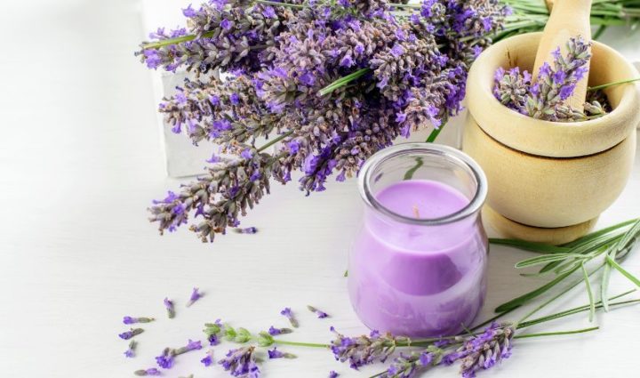 Lavender and Coconut oil for Eczema