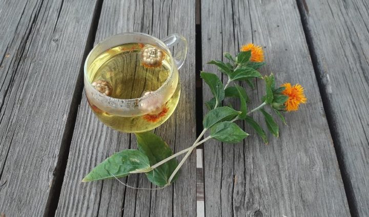 Safflower oil for Weight Loss
