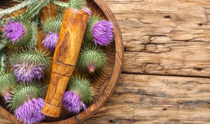 Dandelion and Milk Thistle
