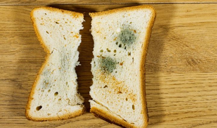 Eat Around The Mold