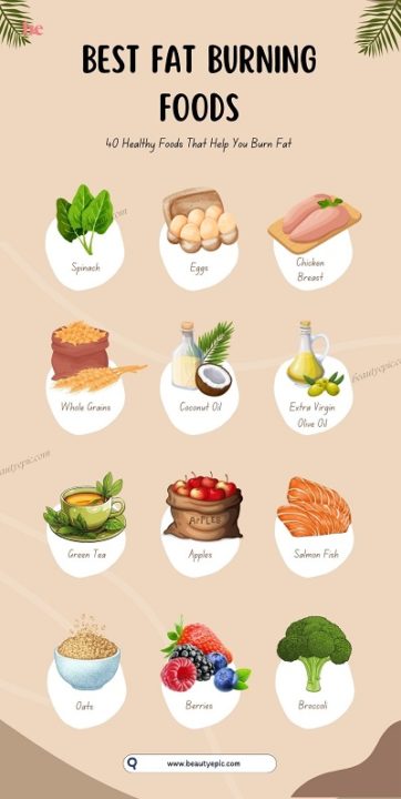 Best Fat Burning Foods - 40 Healthy Foods That Help You Burn Fat In 2026