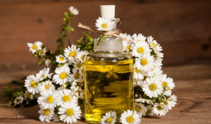 Chamomile Essential Oil