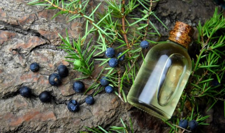 Juniper Berry Oil