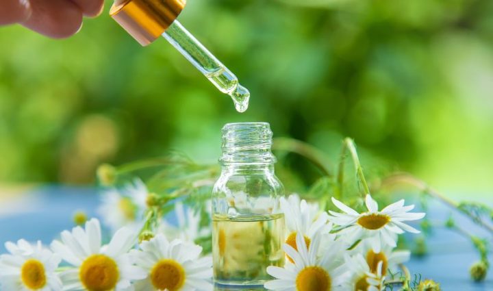 Chamomile