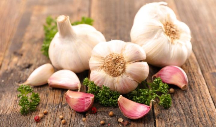 Garlic