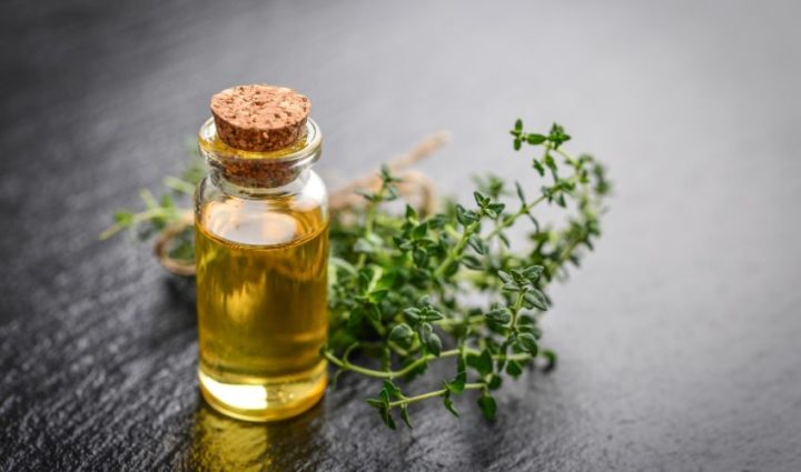 Thyme Oil