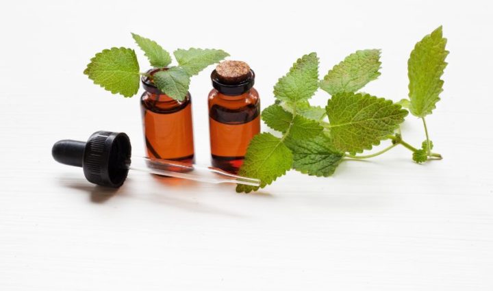 Lemon Balm Oil