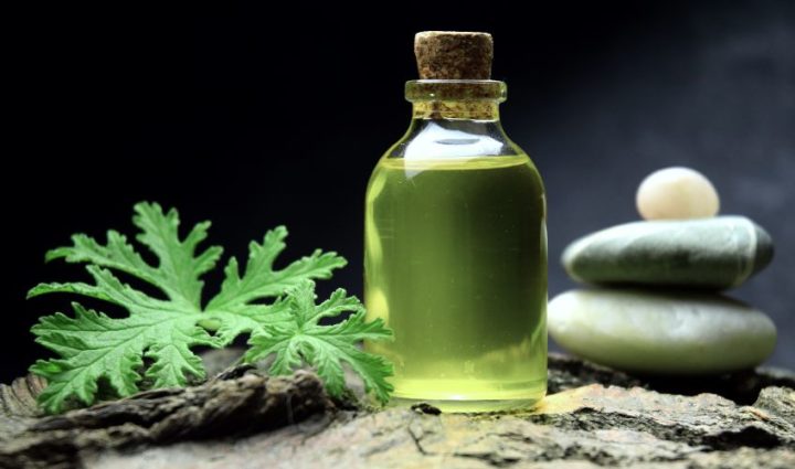 Citronella Oil