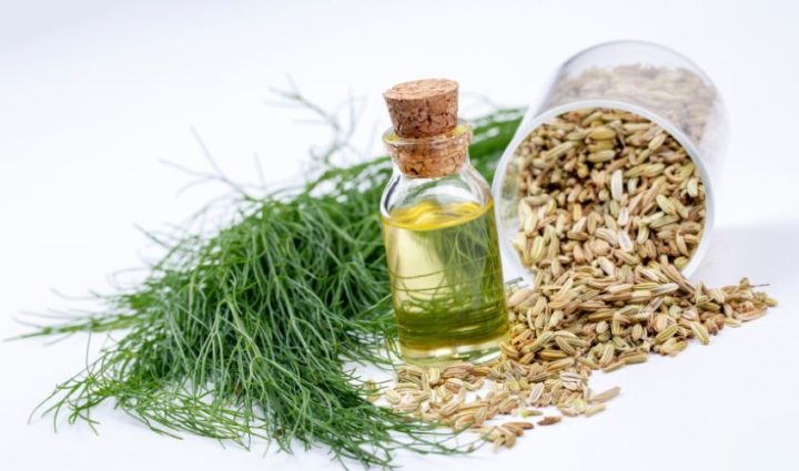 Fennel Oil