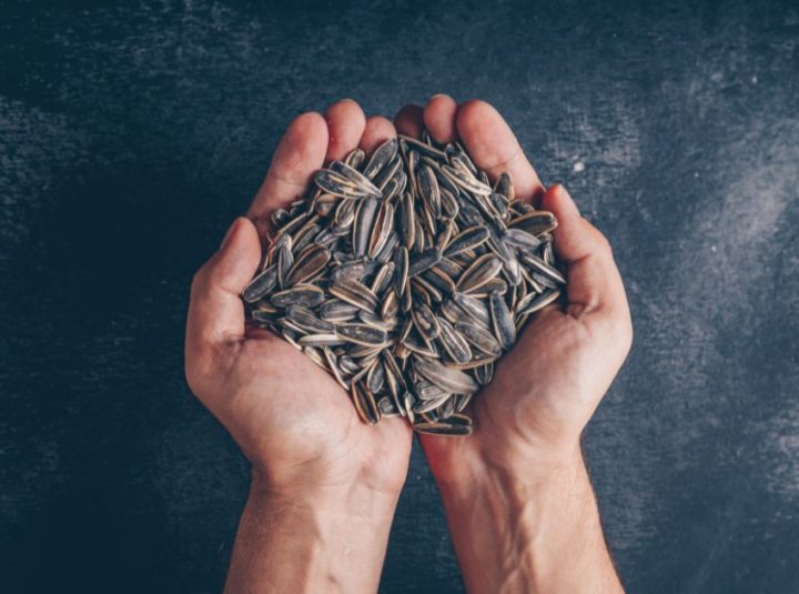 Is It Safe To Eat Sunflower Seed Shells?