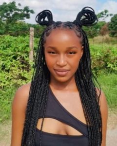  50 Beautiful Criss Cross Braids Hairstyles For A Stylish Look
