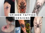 Spider Tattoo Designs
