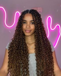 35+ Stunning Gypsy Braids Hairstyles That Will Make You Stand Out In 2025