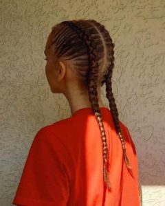 30 Easy Two Braids Hairstyles For Your Perfect Looks In 2026