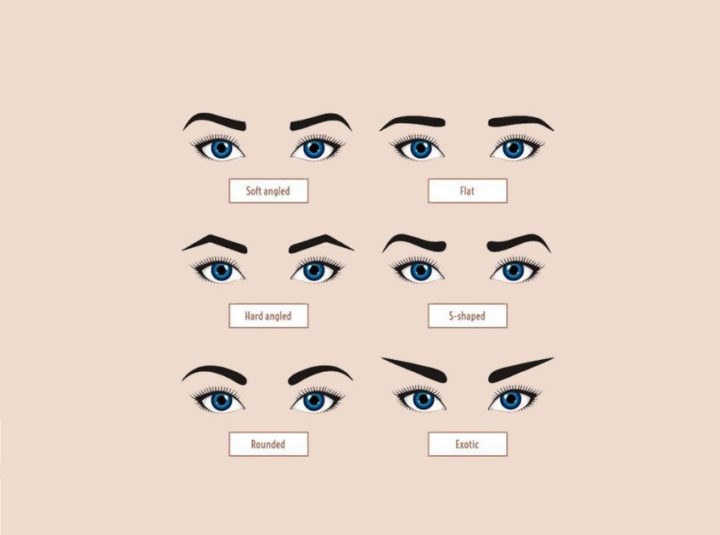 What Eyebrow Shape Makes You Look Younger Expert Tips for a Youthful Brow Lift