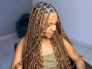 Everything You Need to Know About Box Braids Styles, Tips & Step-by-Step Tutorial