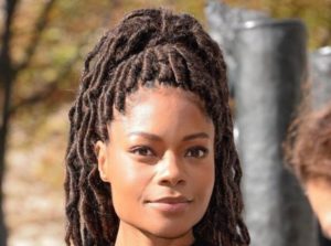Everything You Need to Know About Boho Locs