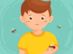 7 Effective Home Remedies for Insect Bites and Stings