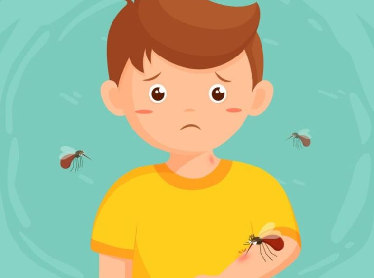 7 Effective Home Remedies for Insect Bites and Stings