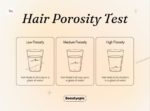 How to Do a Hair Porosity Test at Home (Step-by-Step Guide)