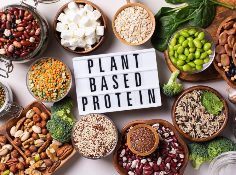 Top 15 Plant-Based Protein Foods You Should Add to Your Diet