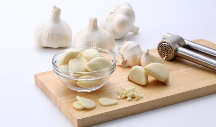 Garlic