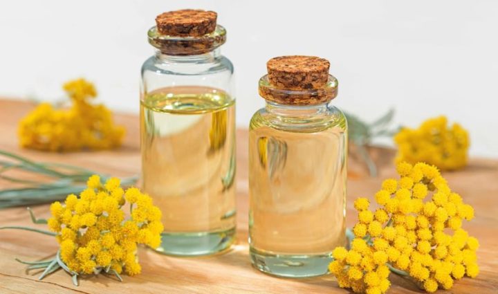 Helichrysum Oil: The Tissue Healer