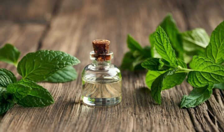 Peppermint Oil: The Cooling Comfort