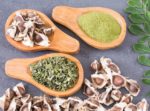 Benefits of Moringa Nutrition, Uses, and Advantages