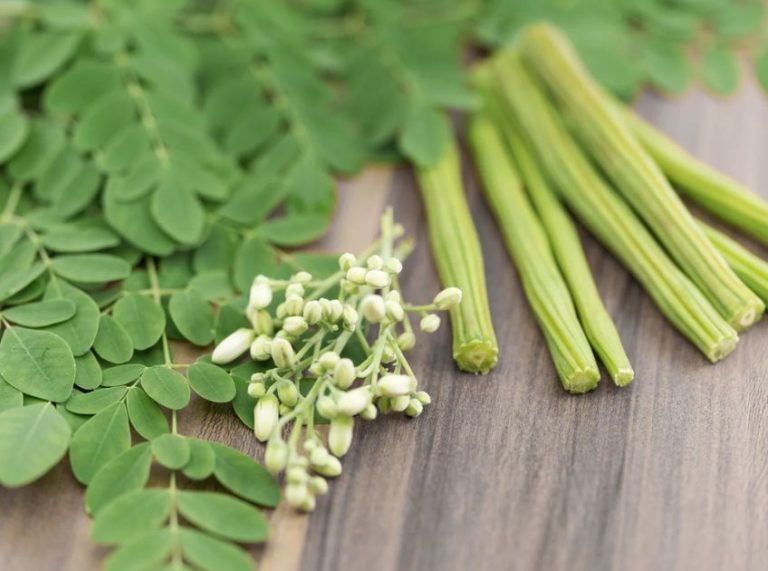 Moringa Oleifera: The Miracle Tree and Its Incredible Health Benefits