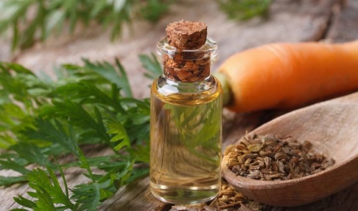 Carrot Seed Oil