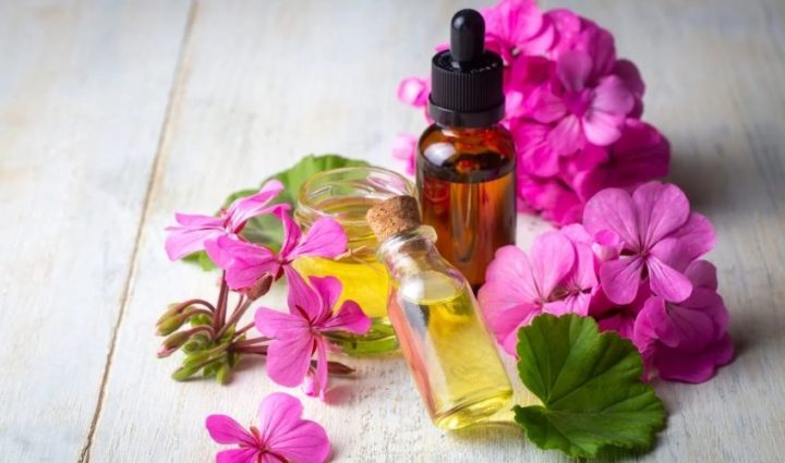 Geranium Oil