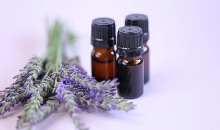Lavender Oil