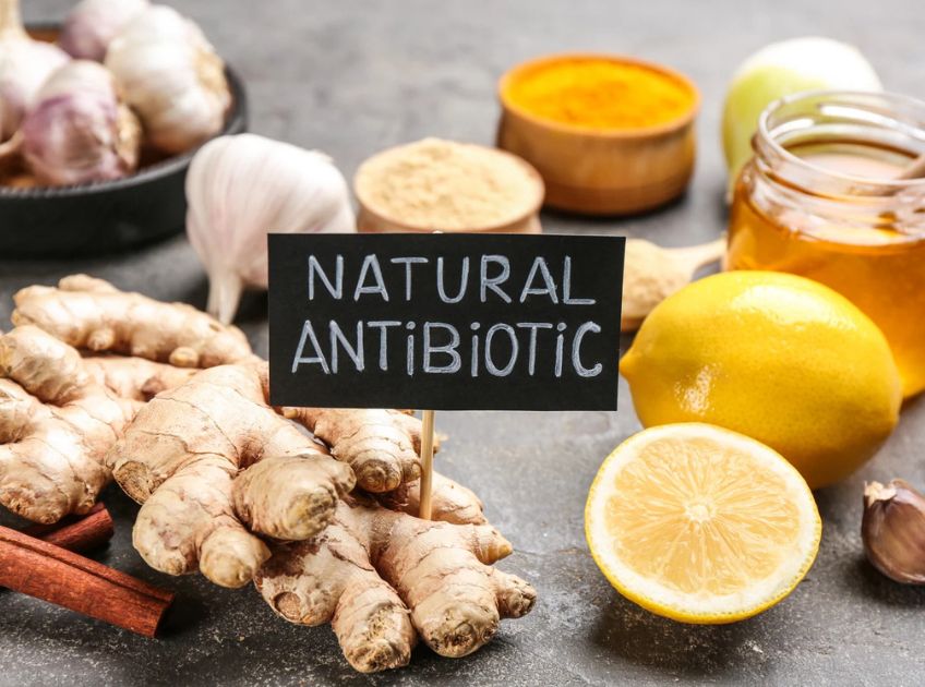 6 Safe and Natural Antibiotics That Help Your Body Fight Infections Naturally