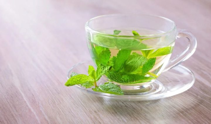 Peppermint Tea — Cooling Relief for Digestion
