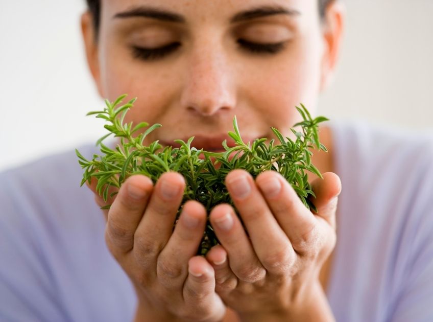 herbs for balancing hormones